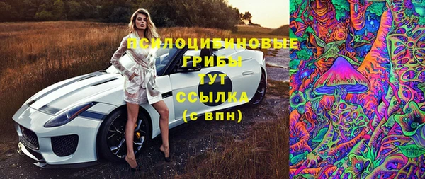 мескалин Богданович