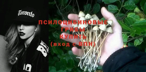 мескалин Богданович