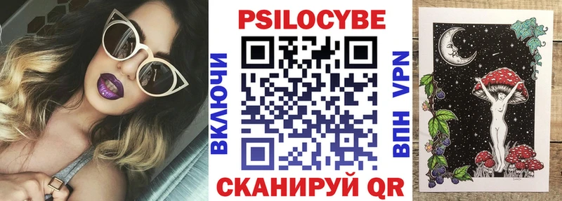 Галлюциногенные грибы Psilocybine cubensis ссылка на мегу онион Будённовск